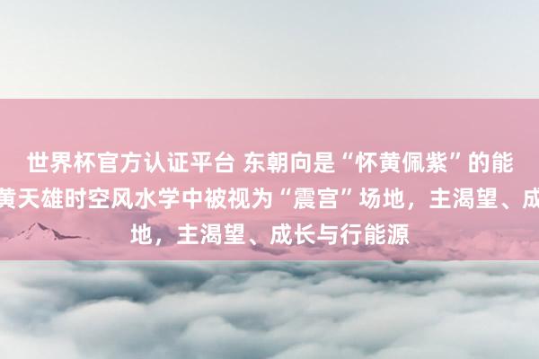 世界杯官方认证平台 东朝向是“怀黄佩紫”的能量进口,在黄天雄时空风水学中被视为“震宫”场地,主渴望、成长与行能源