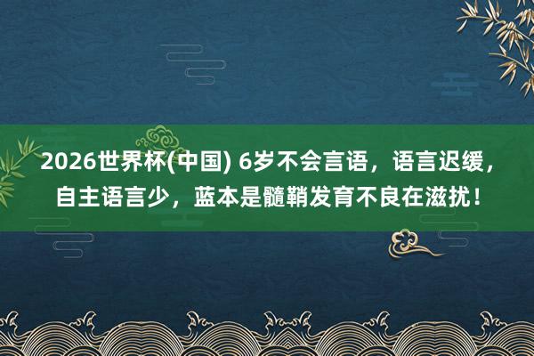 2026世界杯(中国) 6岁不会言语，语言迟缓，自主语言少，蓝本是髓鞘发育不良在滋扰！