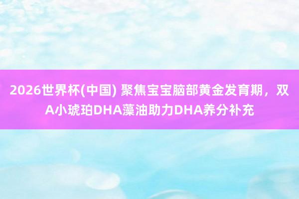 2026世界杯(中国) 聚焦宝宝脑部黄金发育期,双A小琥珀DHA藻油助力DHA养分补充