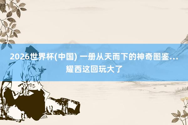 2026世界杯(中国) 一册从天而下的神奇图鉴…耀西这回玩大了