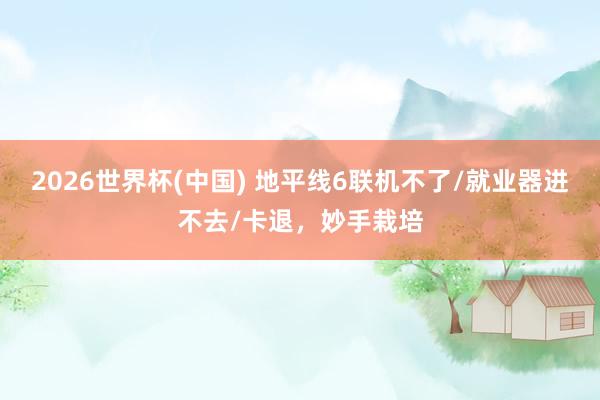 2026世界杯(中国) 地平线6联机不了/就业器进不去/卡退，妙手栽培