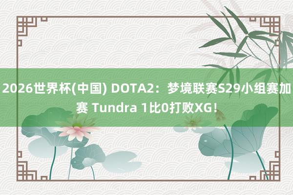 2026世界杯(中国) DOTA2:梦境联赛S29小组赛加赛 Tundra 1比0打败XG!