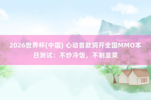 2026世界杯(中国) 心动首款洞开全国MMO本日测试：不炒冷饭，不割韭菜