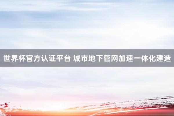 世界杯官方认证平台 城市地下管网加速一体化建造