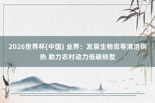 2026世界杯(中国) 业界：发展生物资等清洁供热 助力农村动力低碳转型
