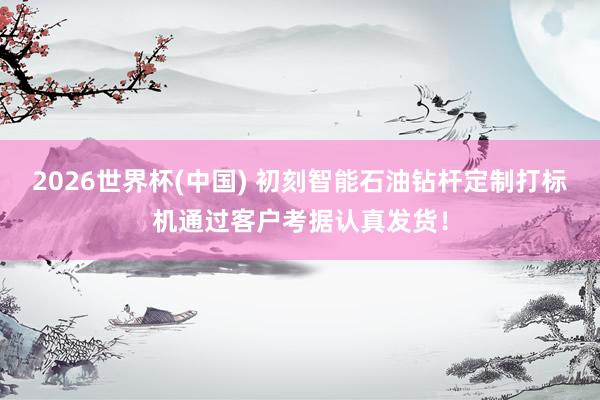 2026世界杯(中国) 初刻智能石油钻杆定制打标机通过客户考据认真发货!
