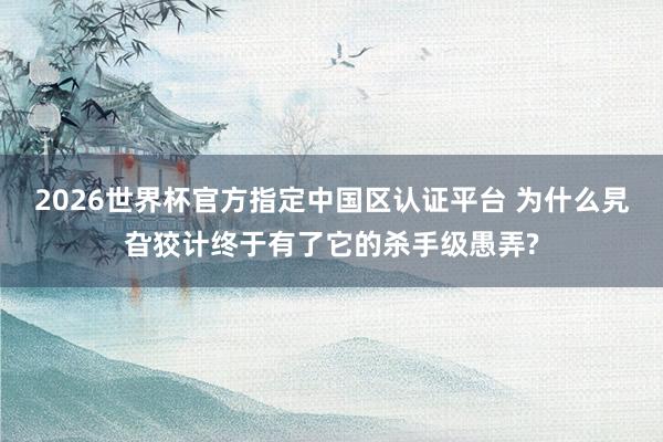 2026世界杯官方指定中国区认证平台 为什么旯旮狡计终于有了它的杀手级愚弄?