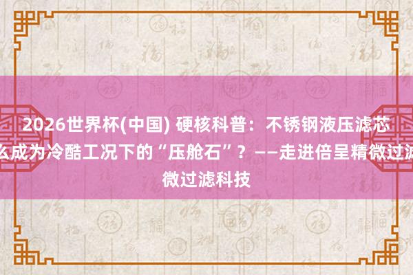 2026世界杯(中国) 硬核科普：不锈钢液压滤芯凭什么成为冷酷工况下的“压舱石”？——走进倍呈精微过滤科技