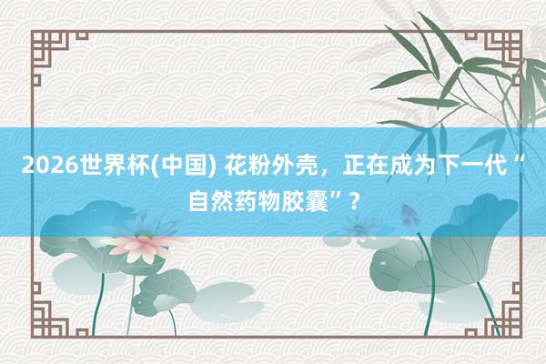 2026世界杯(中国) 花粉外壳,正在成为下一代“自然药物胶囊”?