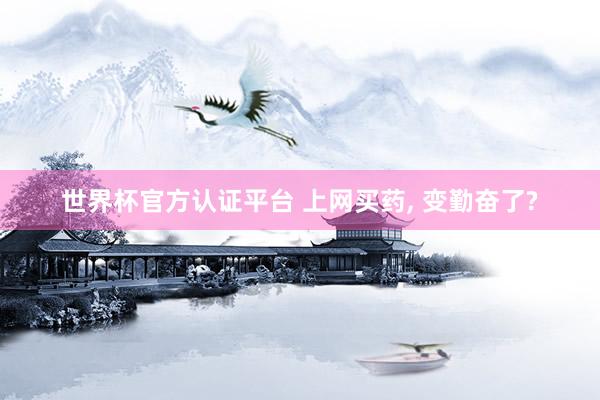 世界杯官方认证平台 上网买药, 变勤奋了?