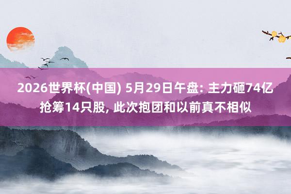 2026世界杯(中国) 5月29日午盘: 主力砸74亿抢筹14只股, 此次抱团和以前真不相似