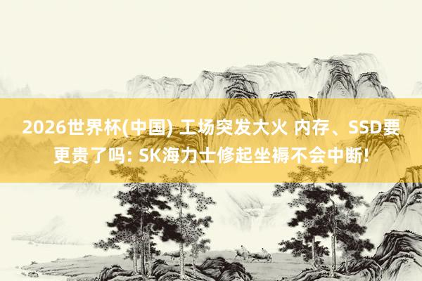 2026世界杯(中国) 工场突发大火 内存、SSD要更贵了吗: SK海力士修起坐褥不会中断!