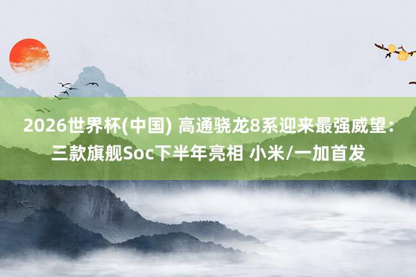 2026世界杯(中国) 高通骁龙8系迎来最强威望:三款旗舰Soc下半年亮相 小米/一加首发