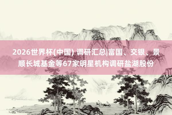 2026世界杯(中国) 调研汇总|富国、交银、景顺长城基金等67家明星机构调研盐湖股份