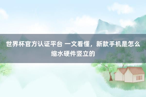 世界杯官方认证平台 一文看懂,新款手机是怎么缩水硬件竖立的