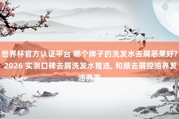 世界杯官方认证平台 哪个牌子的洗发水去屑恶果好? 2026 实测口碑去屑洗发水推选， 和顺去屑控油养发