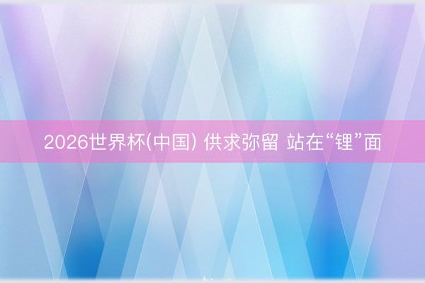 2026世界杯(中国) 供求弥留 站在“锂”面