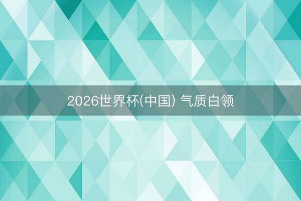 2026世界杯(中国) 气质白领