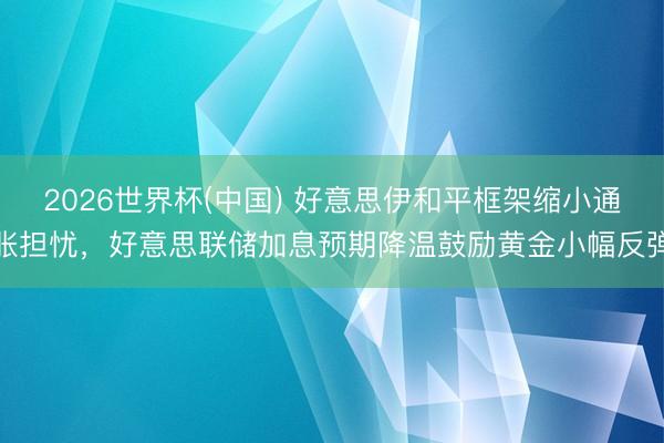 2026世界杯(中国) 好意思伊和平框架缩小通胀担忧,好意思联储加息预期降温鼓励黄金小幅反弹