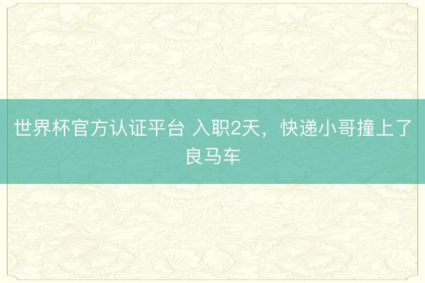 世界杯官方认证平台 入职2天,快递小哥撞上了良马车