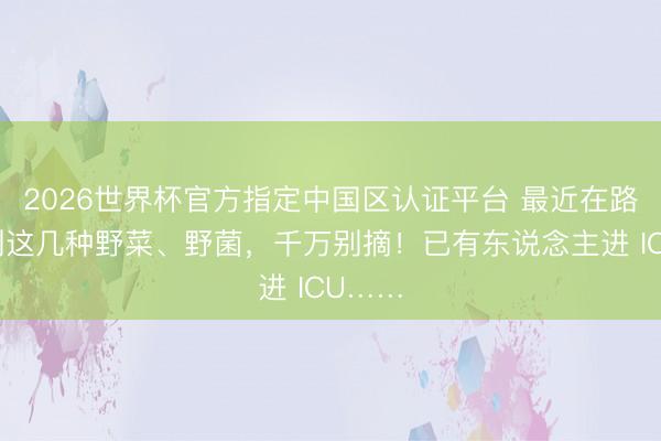 2026世界杯官方指定中国区认证平台 最近在路边看到这几种野菜、野菌,千万别摘!已有东说念主进 ICU……