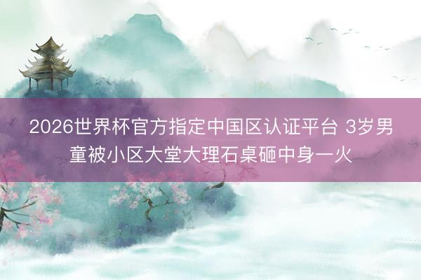 2026世界杯官方指定中国区认证平台 3岁男童被小区大堂大理石桌砸中身一火
